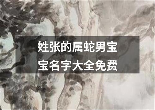 姓张的属蛇男宝宝名字大全免费