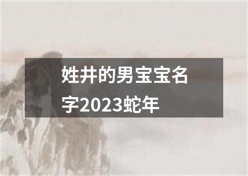 姓井的男宝宝名字2023蛇年
