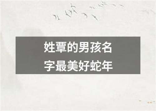 姓覃的男孩名字最美好蛇年