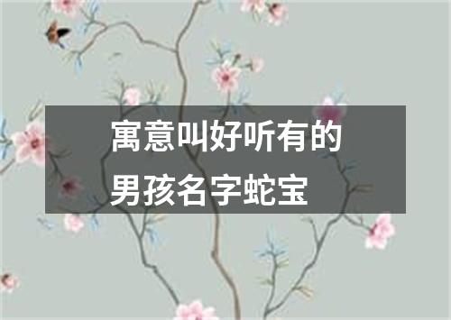 寓意叫好听有的男孩名字蛇宝