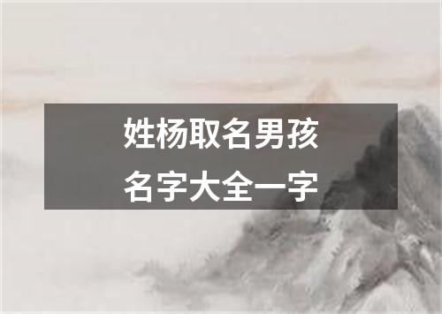 姓杨取名男孩名字大全一字