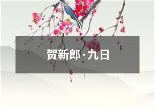 贺新郎·九日