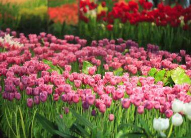 3个字的劳务公司起名大全