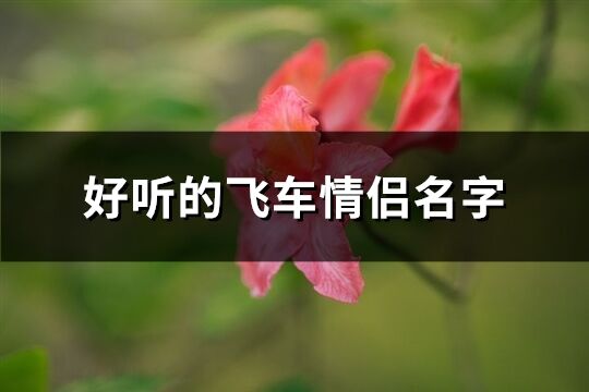 好听的飞车情侣名字(152个)