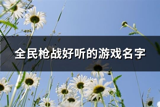 全民枪战好听的游戏名字(共199个)