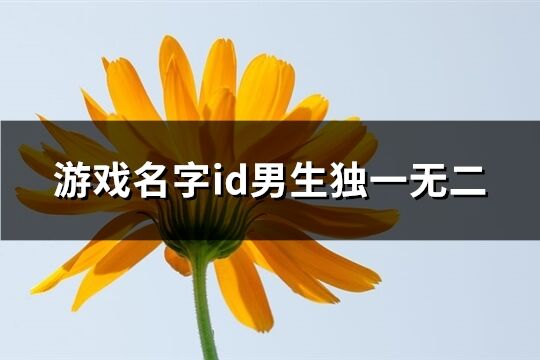 游戏名字id男生独一无二(优选595个)