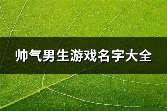 帅气男生游戏名字大全(共1006个)