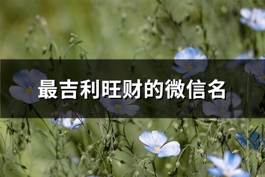 最吉利旺财的微信名(共353个)