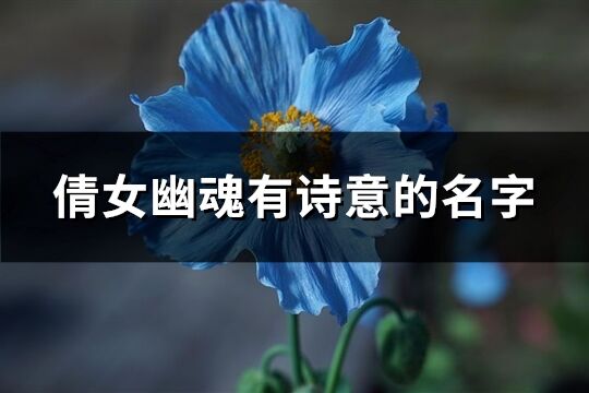 倩女幽魂有诗意的名字(共333个)