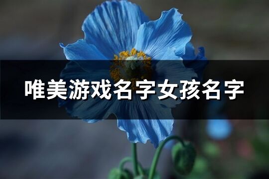 唯美游戏名字女孩名字(优选923个)