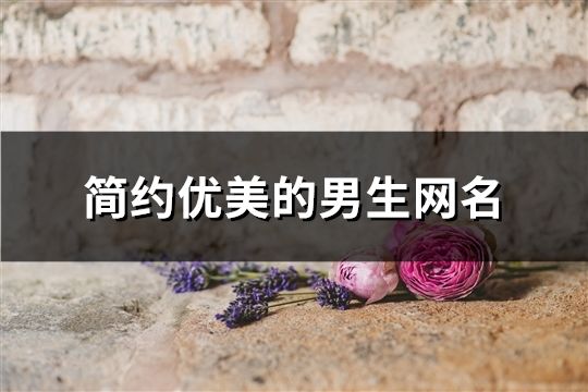 简约优美的男生网名(177个)