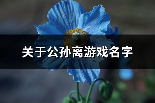 关于公孙离游戏名字(共604个)