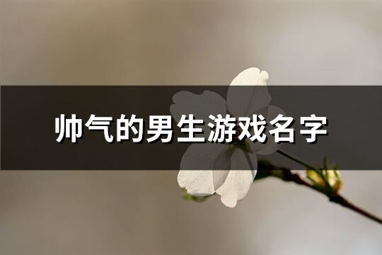 帅气的男生游戏名字(共331个)