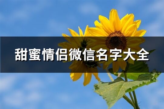 甜蜜情侣微信名字大全(共303个)