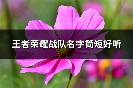 王者荣耀战队名字简短好听(240个)