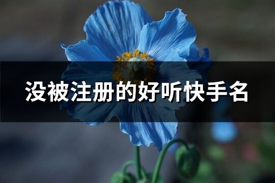 没被注册的好听快手名(共196个)