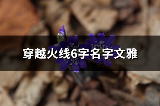 穿越火线6字名字文雅(共391个)