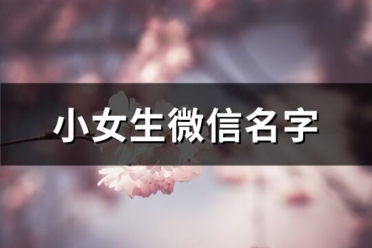 小女生微信名字(共142个)