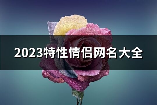 2023特性情侣网名大全(436个)