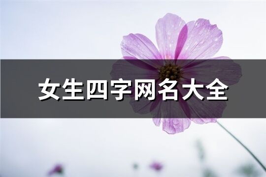 女生四字网名大全(234个)