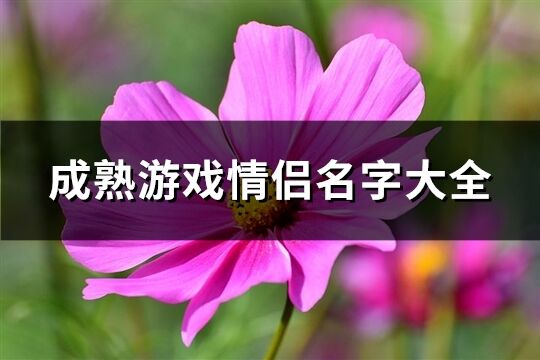 成熟游戏情侣名字大全(精选174个)