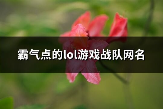 霸气点的lol游戏战队网名(共161个)