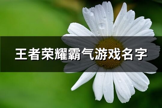 王者荣耀霸气游戏名字(优选267个)