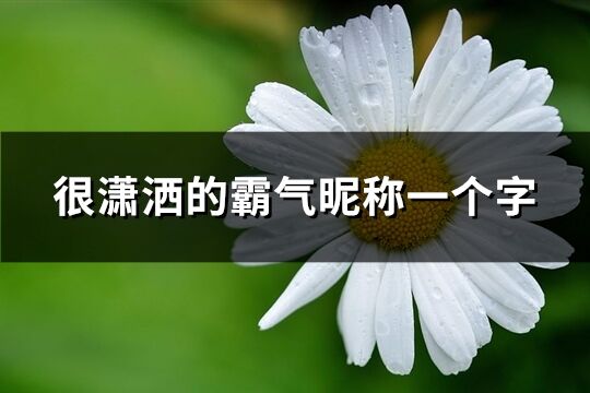 很潇洒的霸气昵称一个字(精选119个)