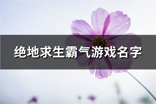 绝地求生霸气游戏名字(247个)