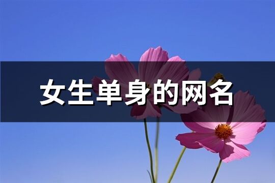 女生单身的网名(共653个)