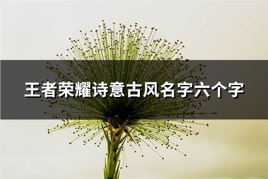 王者荣耀诗意古风名字六个字(共236个)