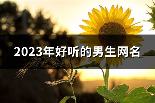 2023年好听的男生网名(精选861个)