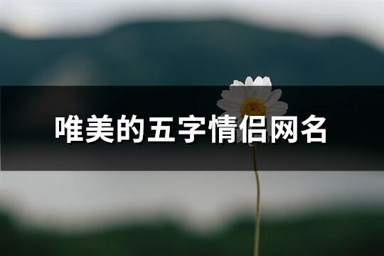 唯美的五字情侣网名(共168个)