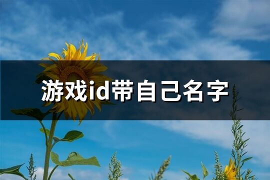 游戏id带自己名字(优选481个)