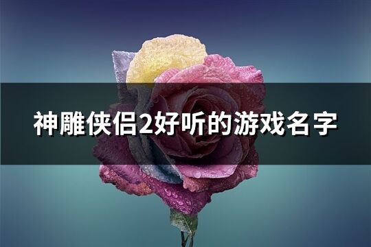 神雕侠侣2好听的游戏名字(455个)