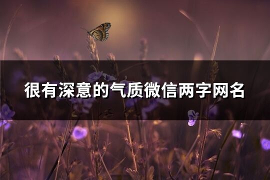 很有深意的气质微信两字网名(精选538个)