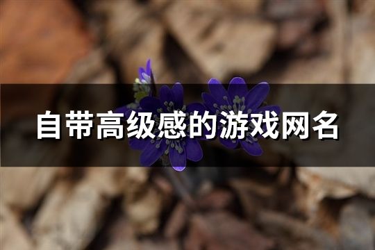 自带高级感的游戏网名(共116个)