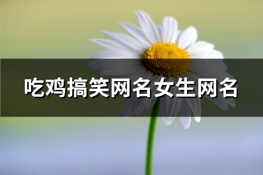 吃鸡搞笑网名女生网名(143个)