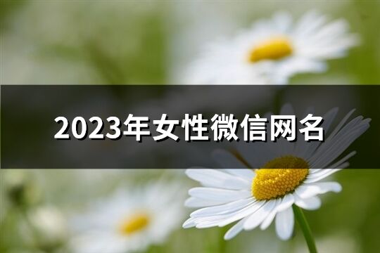 2023年女性微信网名(共943个)