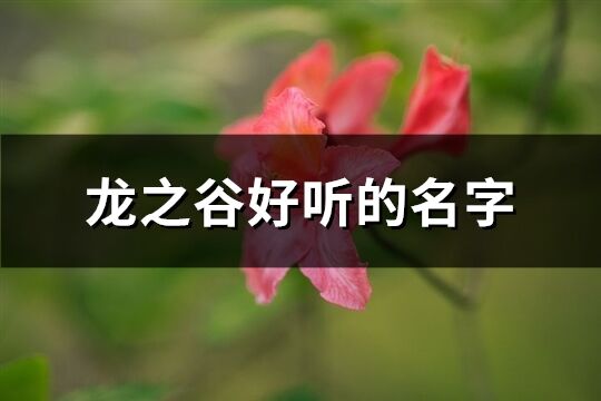 龙之谷好听的名字(精选571个)