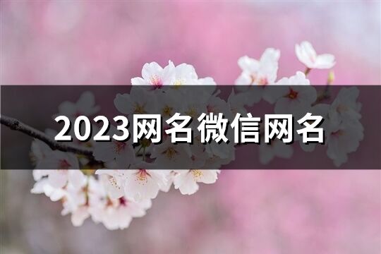 2023网名微信网名(1114个)