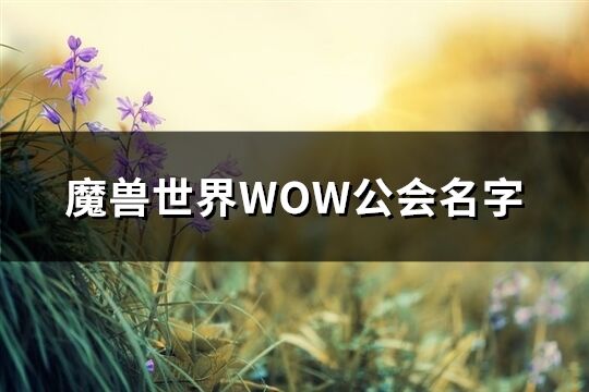 魔兽世界WOW公会名字(共332个)