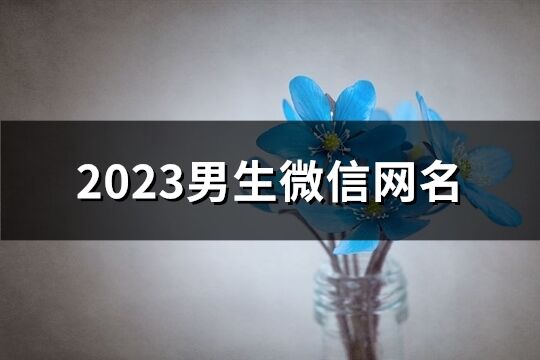 2023男生微信网名(共1576个)