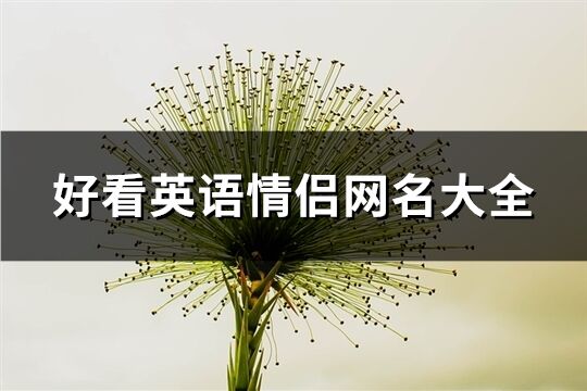 好看英语情侣网名大全(精选78个)