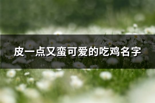 皮一点又蛮可爱的吃鸡名字(精选120个)