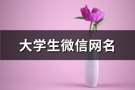 大学生微信网名(共105个)