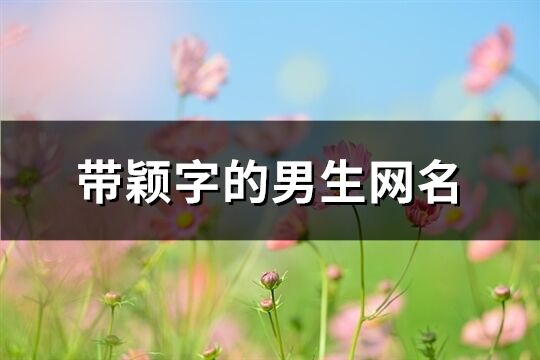 带颖字的男生网名(共89个)