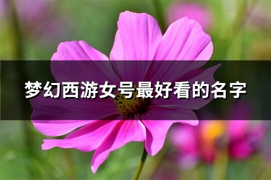 梦幻西游女号最好看的名字(共504个)