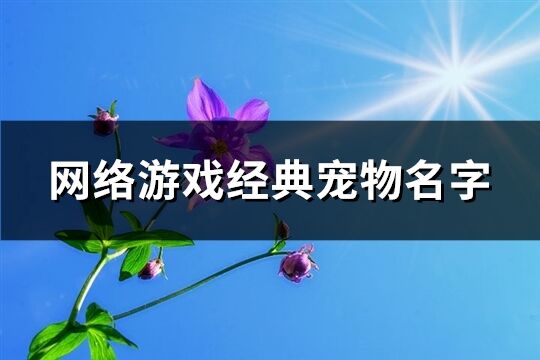 网络游戏经典宠物名字(共536个)