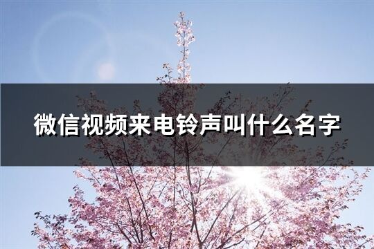 微信视频来电铃声叫什么名字(共56个)